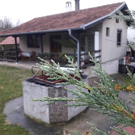 Galerija Jovanovic Topola Exterior foto